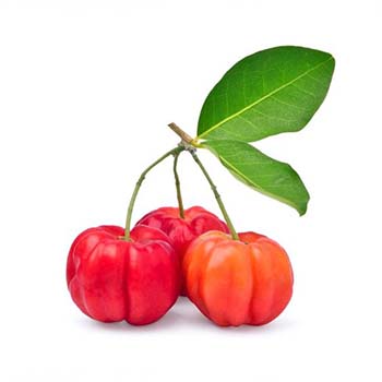 Acerola Cherry Powder Extract