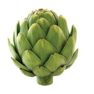 Artichoke Powder Extract