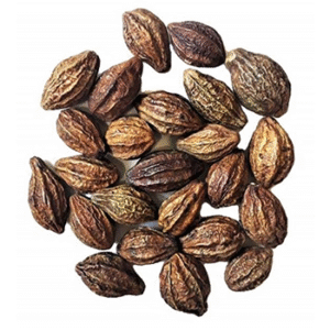 Haritaki Powder Extract