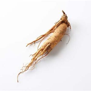 Ginseng Powder