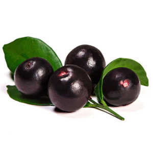 Acai Berry Powder Extract