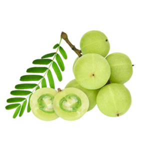 Amla Fruit Powder