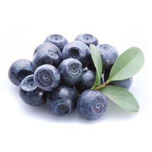 Bilberry Powder Extract
