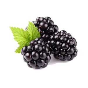 Blackberry Fruit Powder