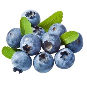 Blueberry Powder Extract