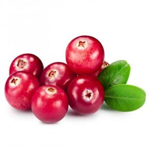 Cranberry Powder Extract