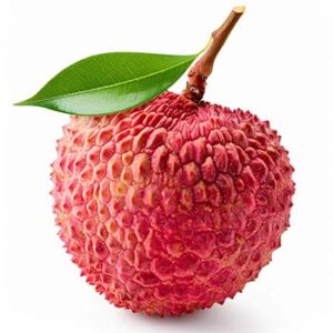 Litchi Fruit Powder