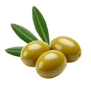 Olive Leaf Powder Extract