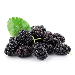 Black Mulberry