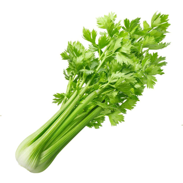 Celery Juice Powder