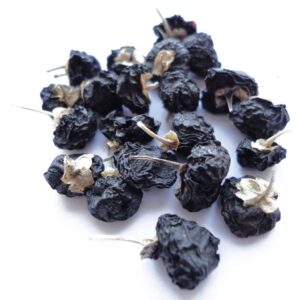 black goji berry