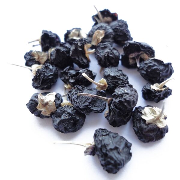 black goji berry