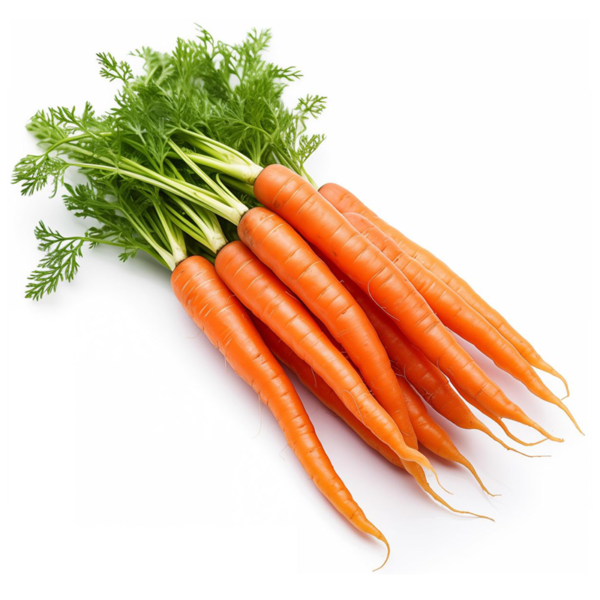 carrot