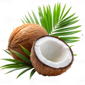 coconut