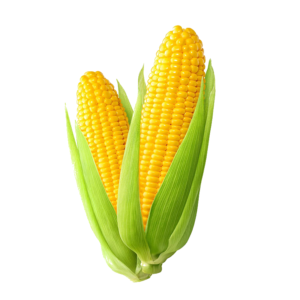 corn